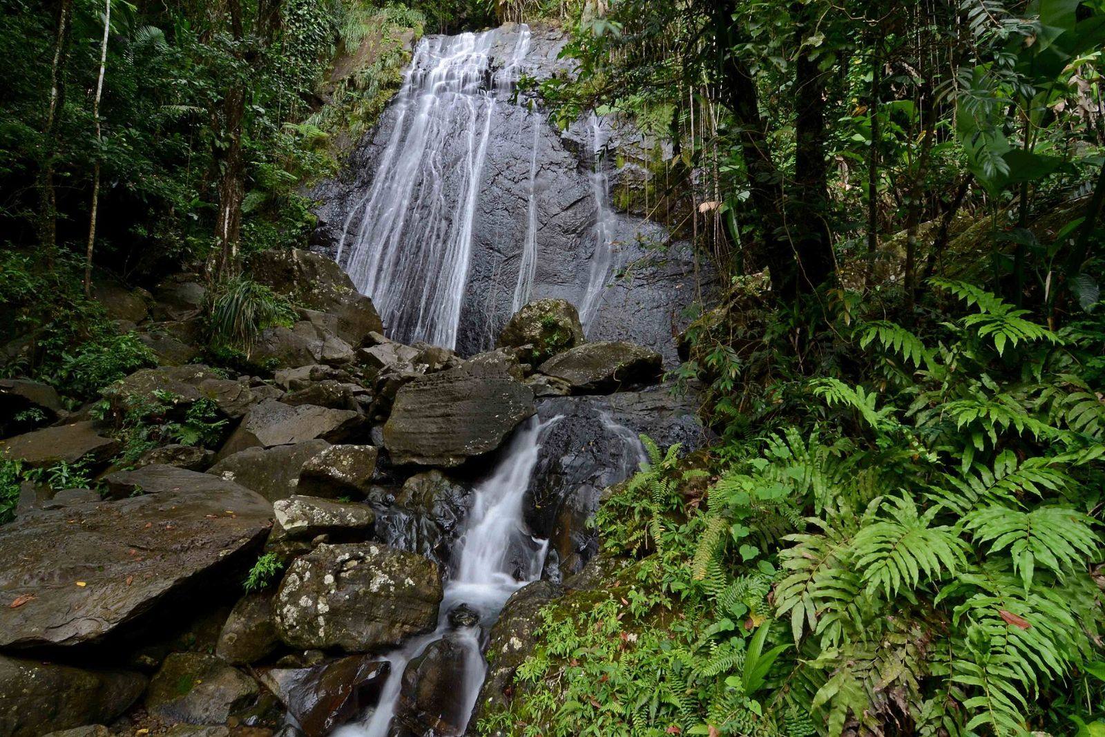 La Coca Falls beside PR-191 in El Yunque National Forest