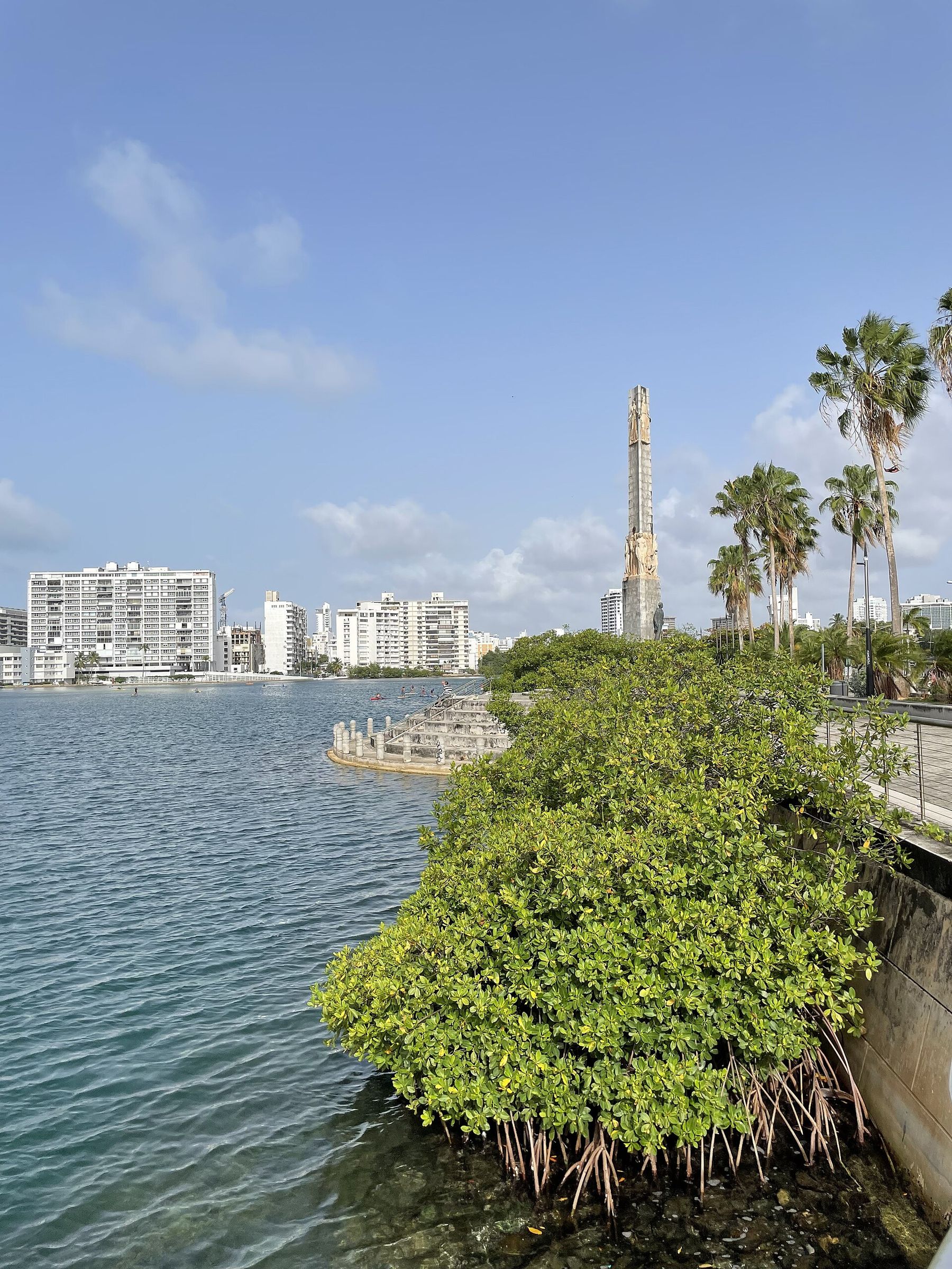 Mangrove roots and steps into the Laguna del Condado, San Juan
