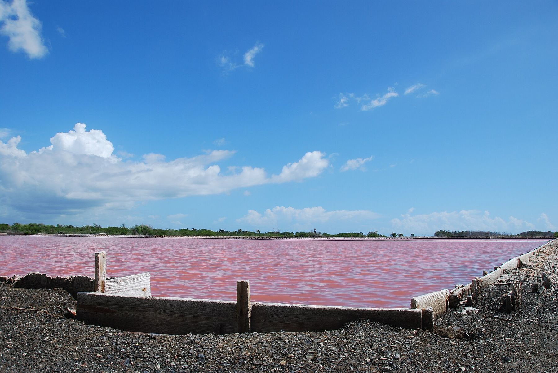 Pink evaporation ponds of the Cabo Rojo salt flats under a blue sky