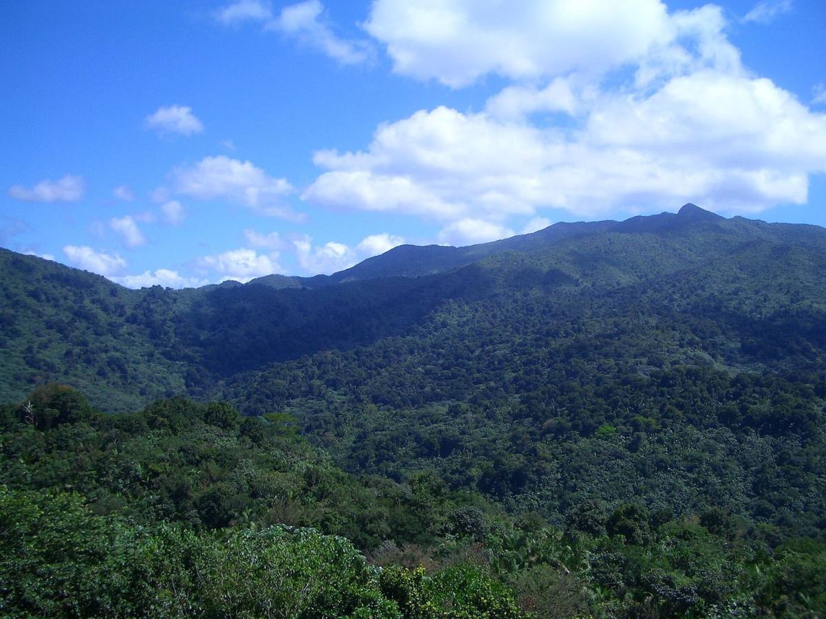 View from Yokahú Tower